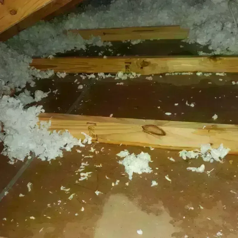 Attic Water Damage in Punaluu, HI